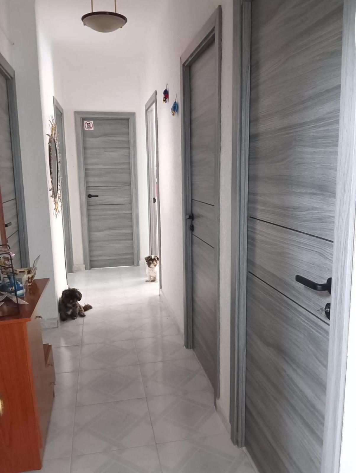 Alicante Habitacion Oasis Eksteriør billede